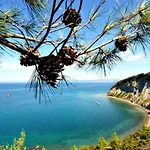 Apartma Elli Koper